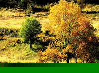 Eb2：成都、稻城亞丁香格里拉13日全景游