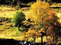 Ec3：成都、丹巴、香格里拉13日全景游