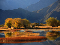 B8：拉薩、珠穆朗瑪峰、古格王朝、神山圣湖20日之旅