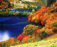 E5：九寨溝、黃龍4日游