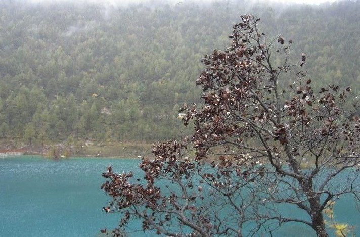 [成都]白水河自然保護區(qū)