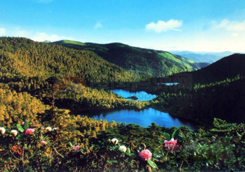 D5：成都、海螺溝、瀘沽湖、麗江、大理11日豪華游