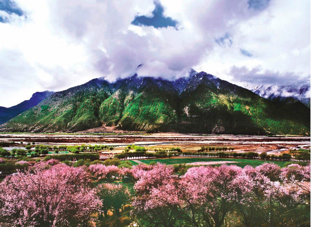 成都租越野車(chē)去拉薩