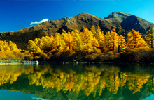 川西金秋成都、九龍、新都橋、稻城亞丁、丹巴9日游