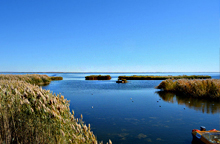 C2:川藏北線成都、若爾蓋、青海（西寧）、拉薩9日游