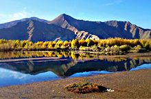 川藏南線：成都、稻城、然烏、大峽谷、拉薩11日游