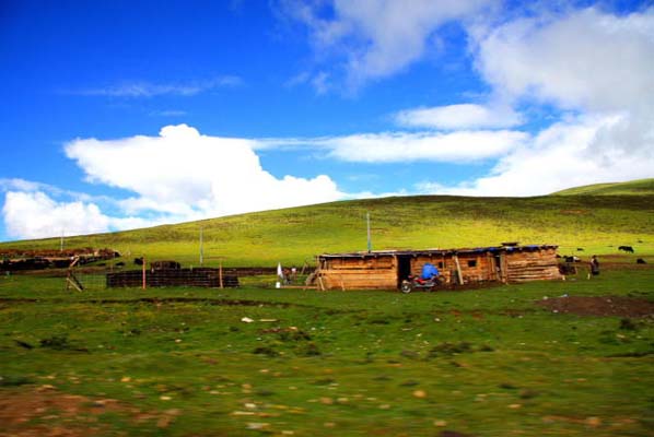 邦達(dá)草原 .jpg