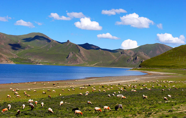 拉薩、亞東、珠峰、日喀則、納木錯9日游