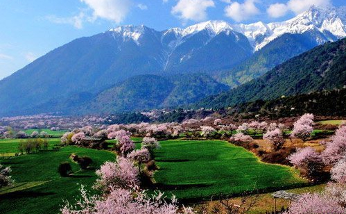 川藏線(xiàn)旅游包車(chē)/拼車(chē)招募中