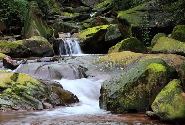 成都租車網(wǎng)薦周末碧峰峽、龍蒼溝二日游