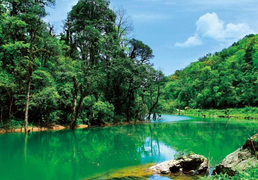 成都租車網(wǎng)薦周末碧峰峽、龍蒼溝二日游