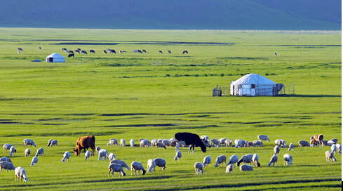 草原最美季 成都租車(chē)旅游熱薦四大草原