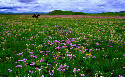 成都包車(chē)到諾爾蓋