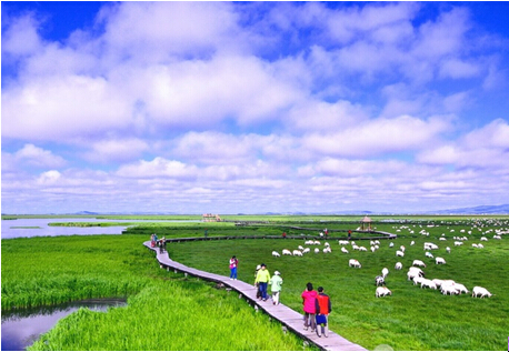 成都包車(chē)到諾爾蓋