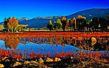 成都自駕到稻城亞丁旅游 成都自駕到稻城亞丁旅游攻略