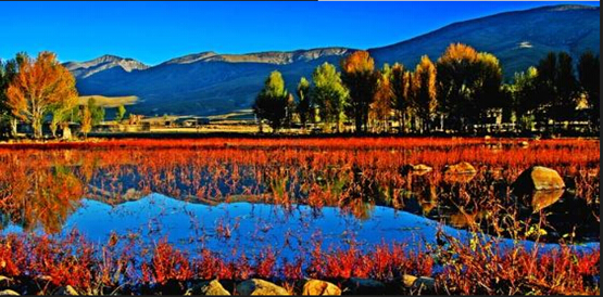 成都租車自駕去稻城亞丁 成都租車自駕去稻城亞丁