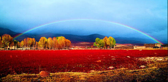 自駕游稻城亞丁 成都租車自駕去稻城亞丁