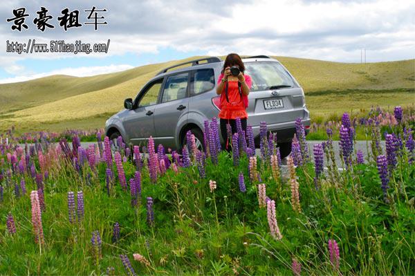 成都自駕租車多少錢(qián)