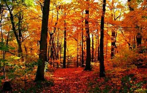 秋游正當(dāng)時(shí)！成都租車旅游選哪一條？