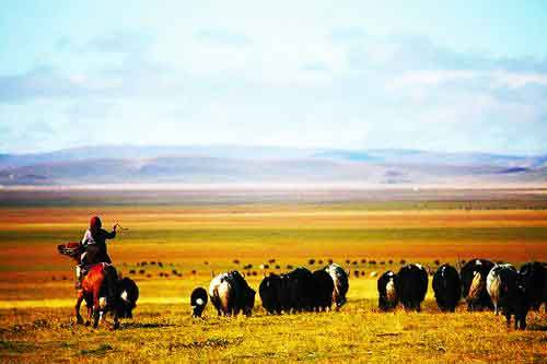 秋游正當(dāng)時(shí)！成都租車旅游選哪一條？